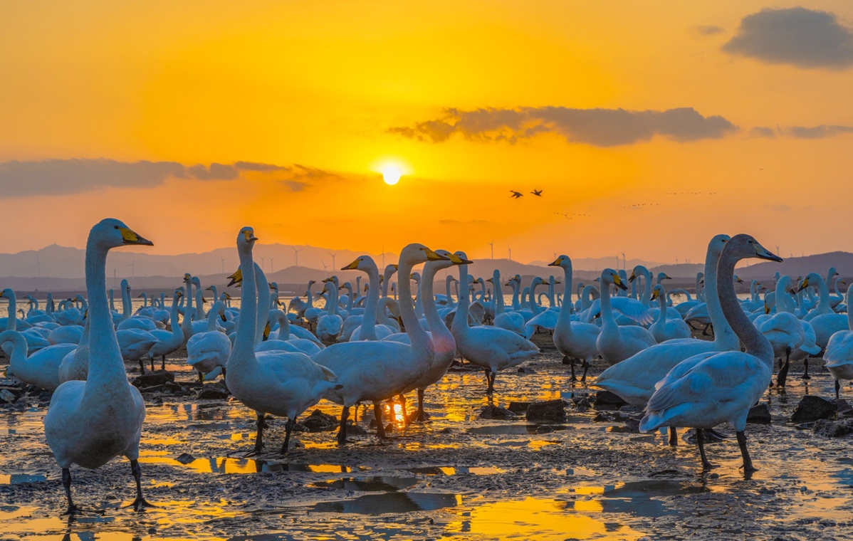 中國日報聚焦 | 全國人大代表孔凡萍：提振消費 開拓經濟增長新空間