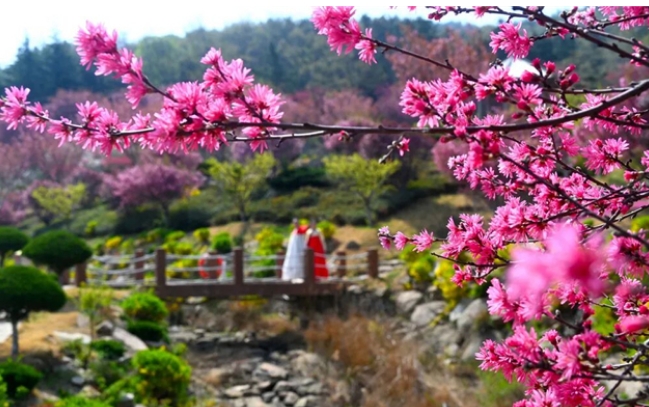 好看好玩好吃的，都有了！威海6條春游主題線路發布