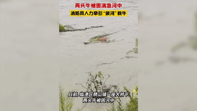 https://hi.hiweihai.net/uploadfile/2023/0831/20230831060956779.gif