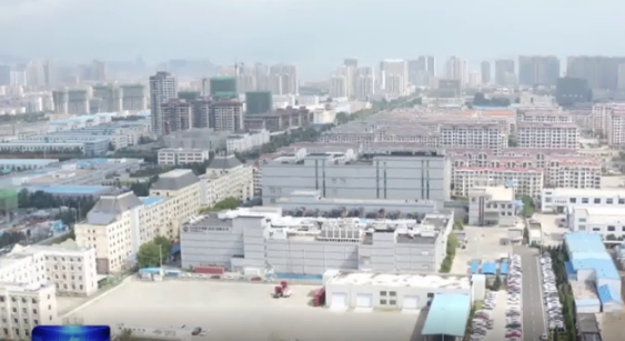 “走在前 挑大梁·新春走基層”|為“出海”企業發展添翼